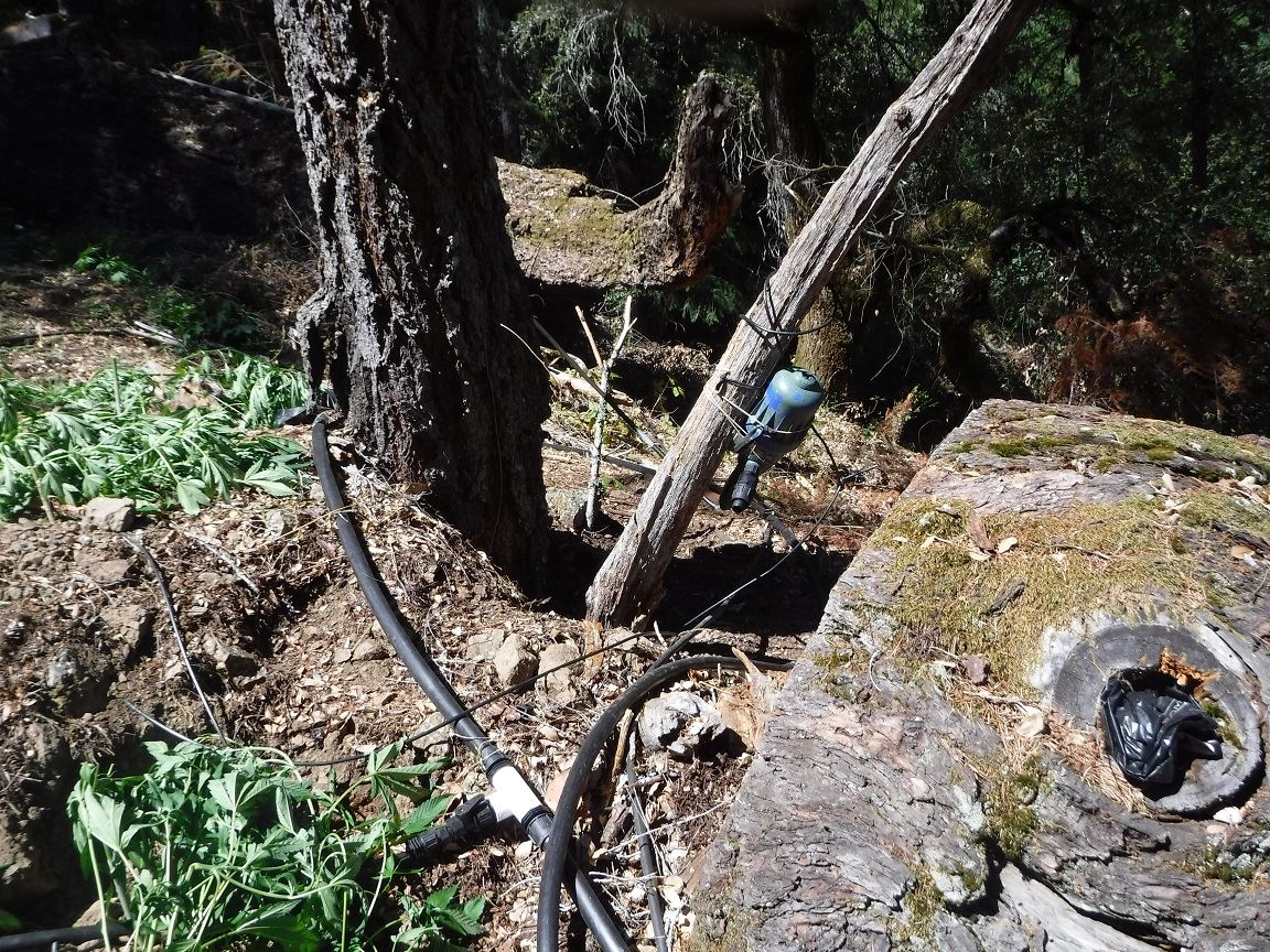 Search Warrant - Case 201603973